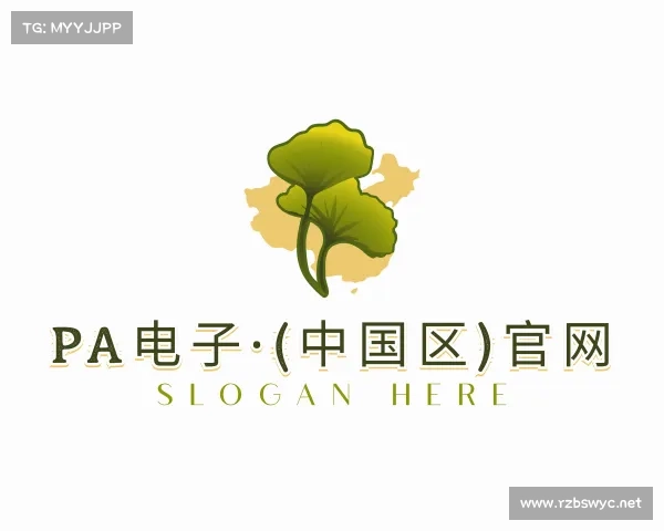 解读PA电子·(中国区)官网